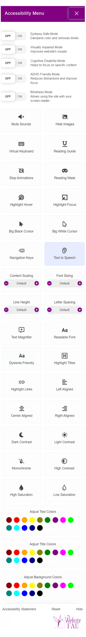 Screenshot of Accessibility Widget